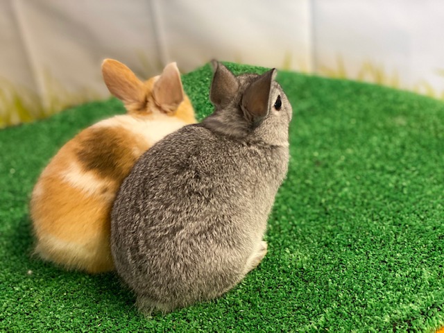 フォトギャラリー「後ろ姿にきゅんッ」の画像