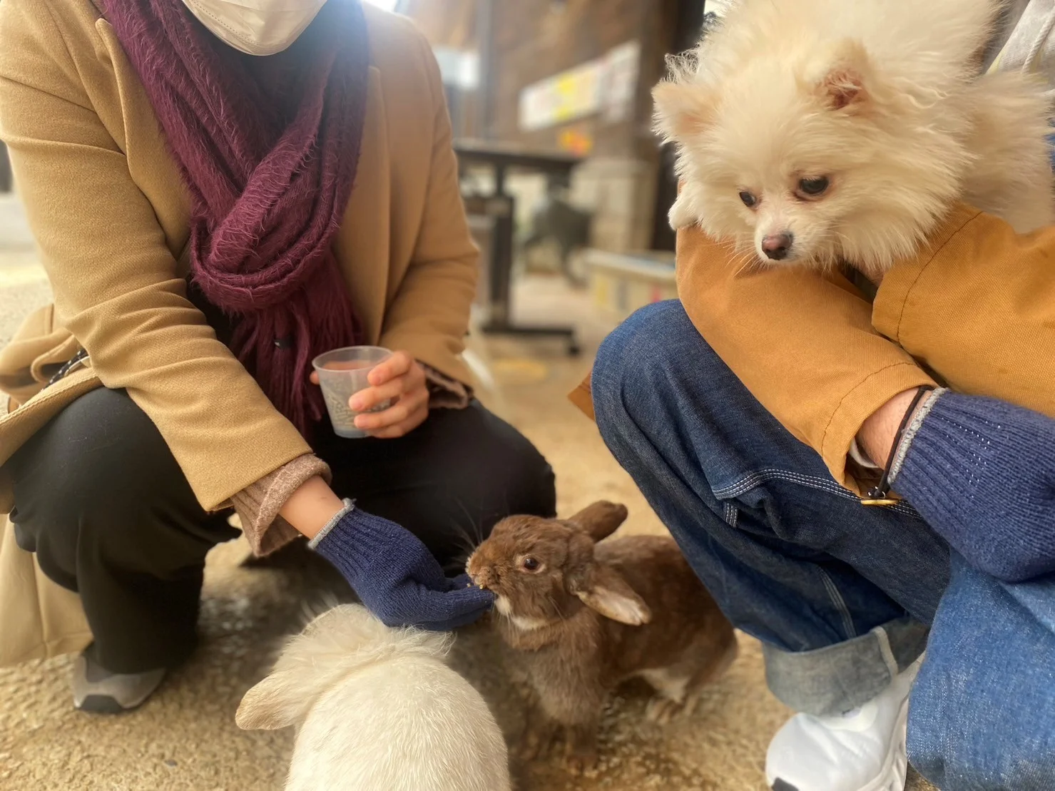 フォトギャラリー「わんちゃんとパシャリ!」の画像
