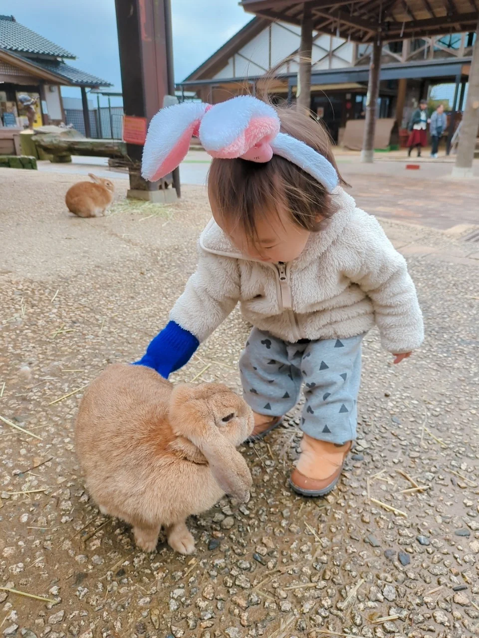 フォトギャラリー「小さなラビットちゃんとうさぎさん」の画像